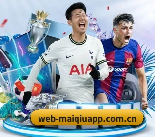 正规买球app十佳排行 APP